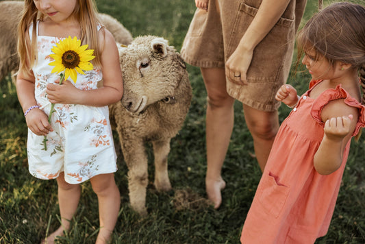 Little Homesteaders: 10 Ways Young Children Can Help on the Homestead