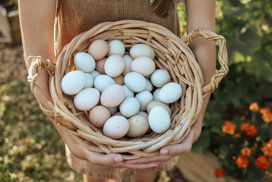 Preserving the Bloom: Why You Shouldn't Wash Farm Fresh Eggs