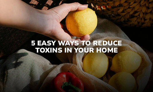 5 Easy Ways to Reduce Toxins in your Home