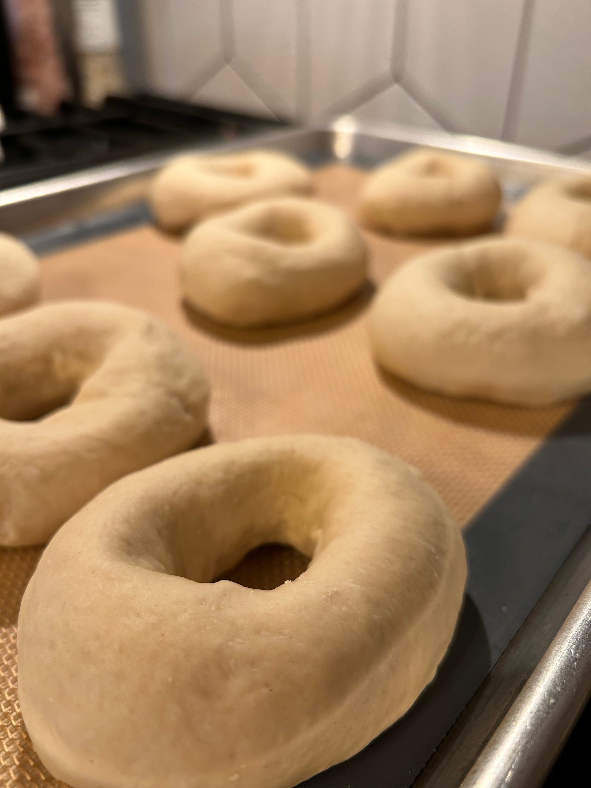 homemade bagels recipe book