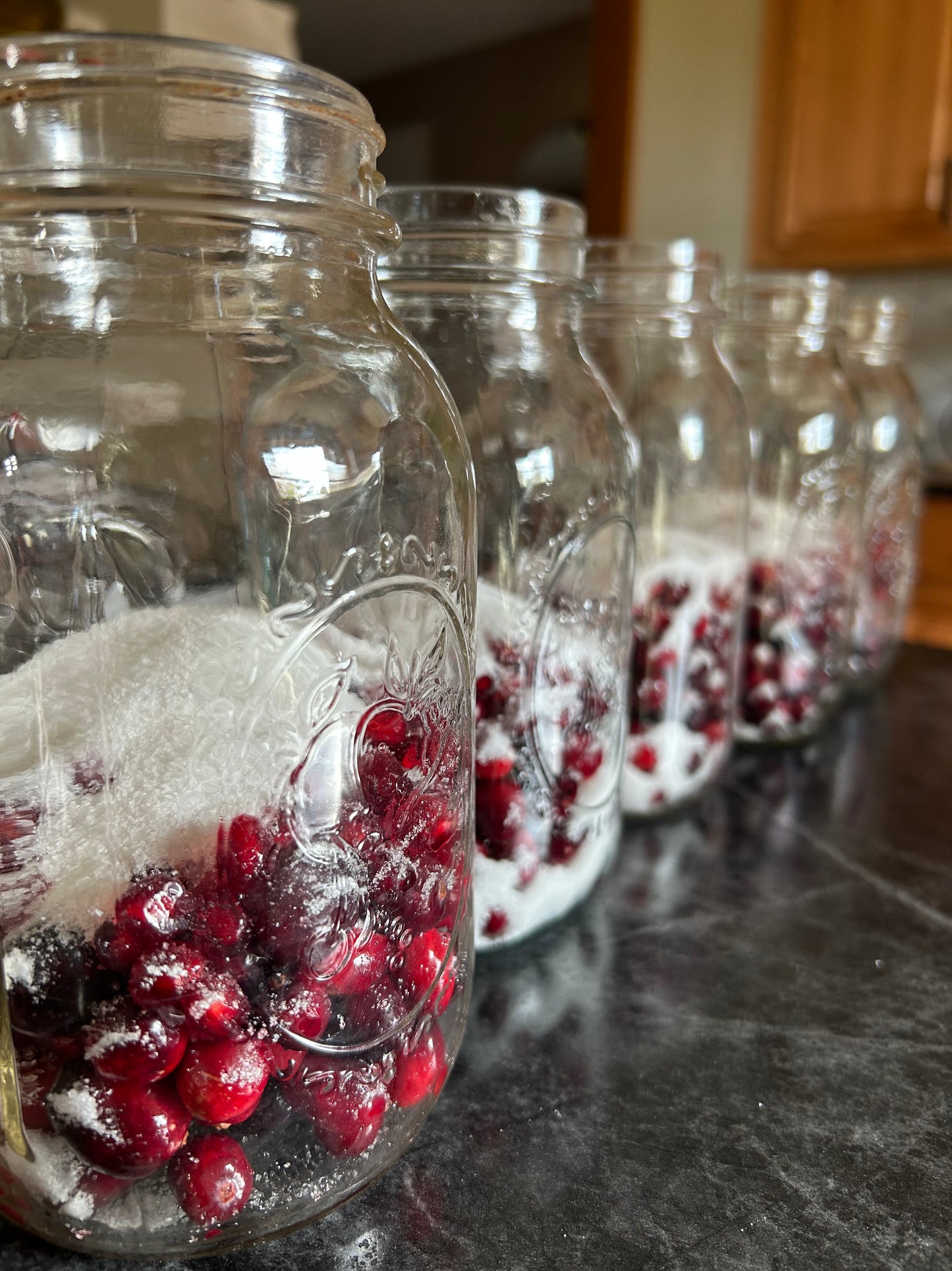 homemade cranberry juice recipe book