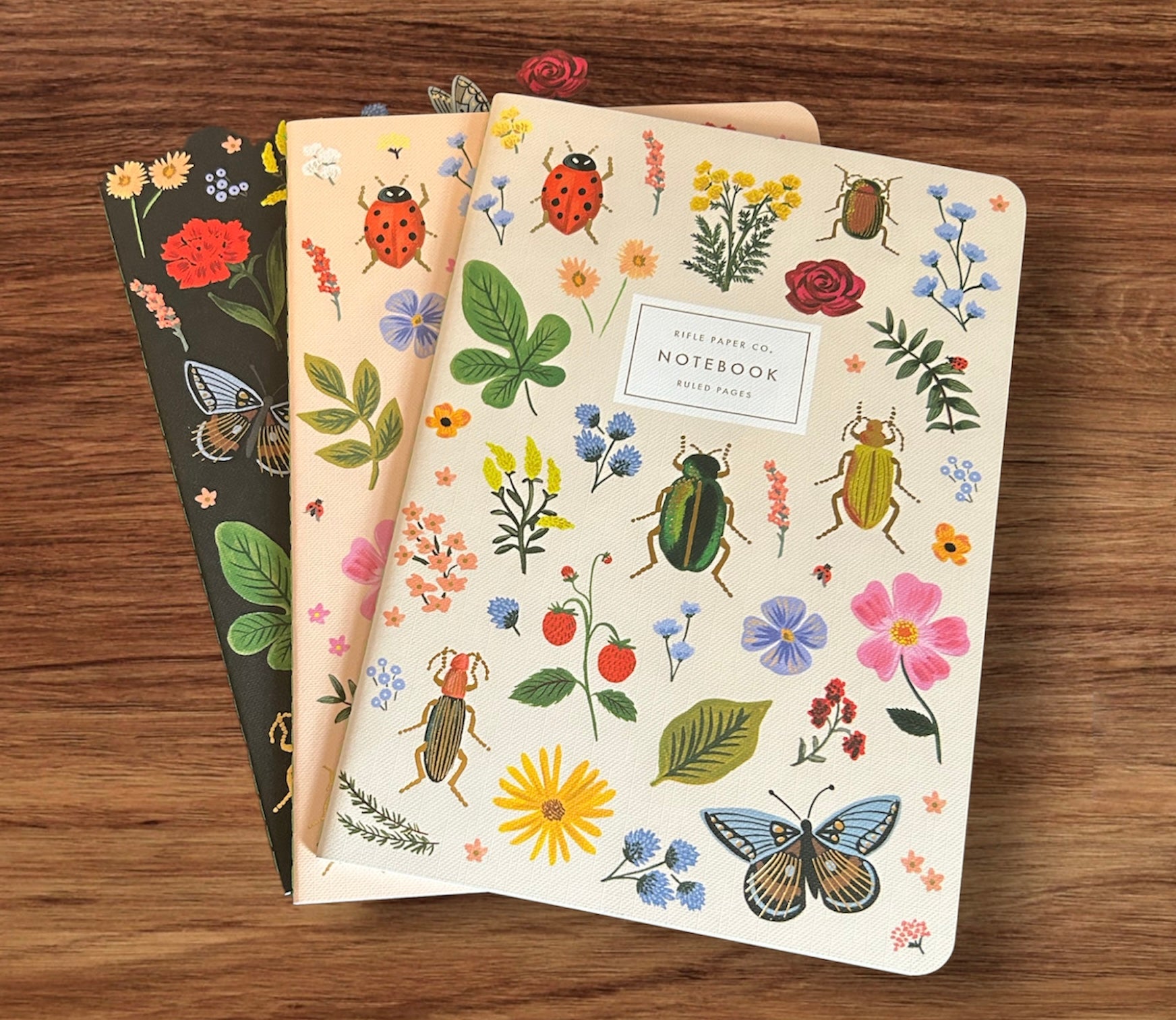 Bug Notebook Wilderness Garden