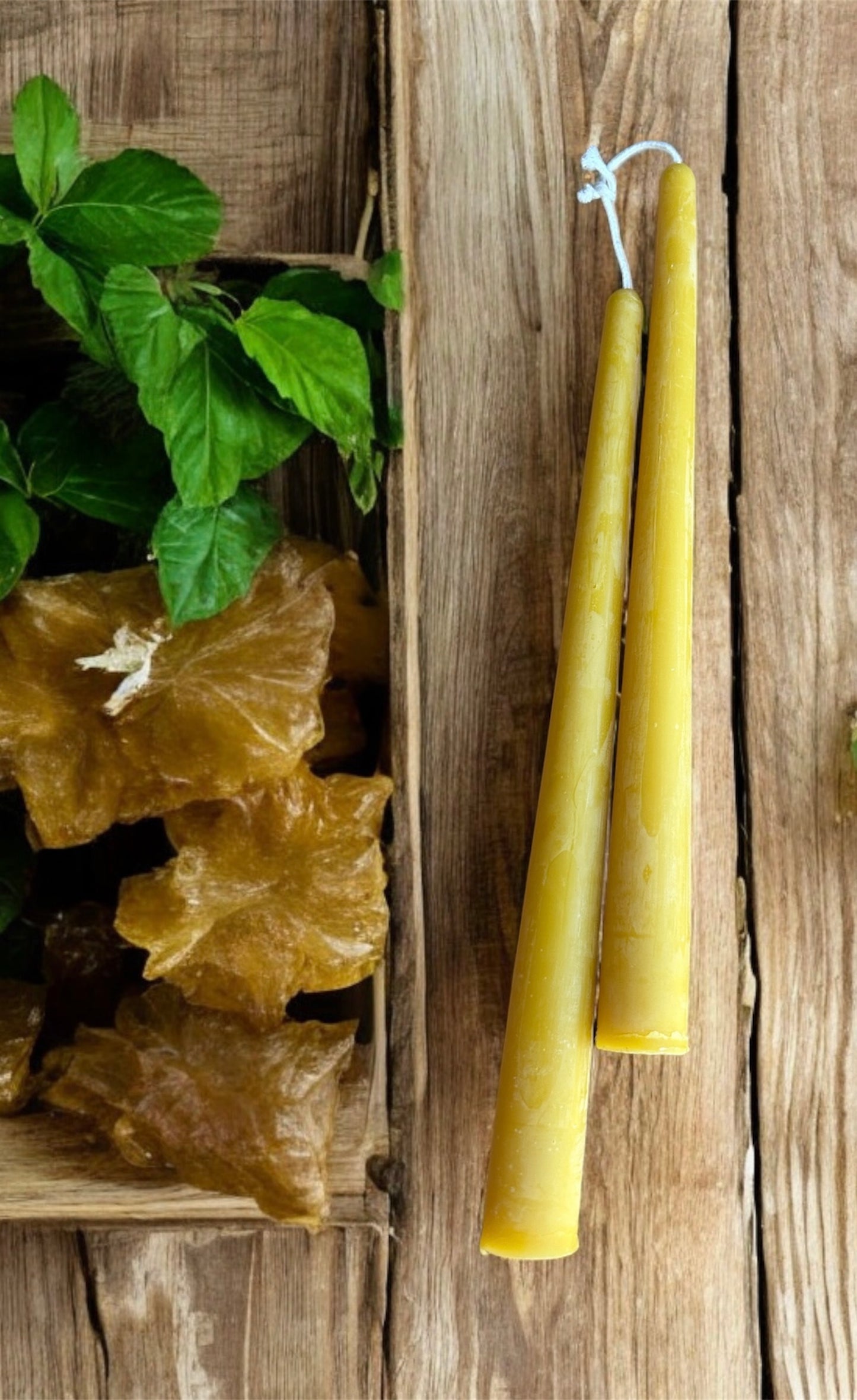 10 inch Taper Candle, Pure Beeswax