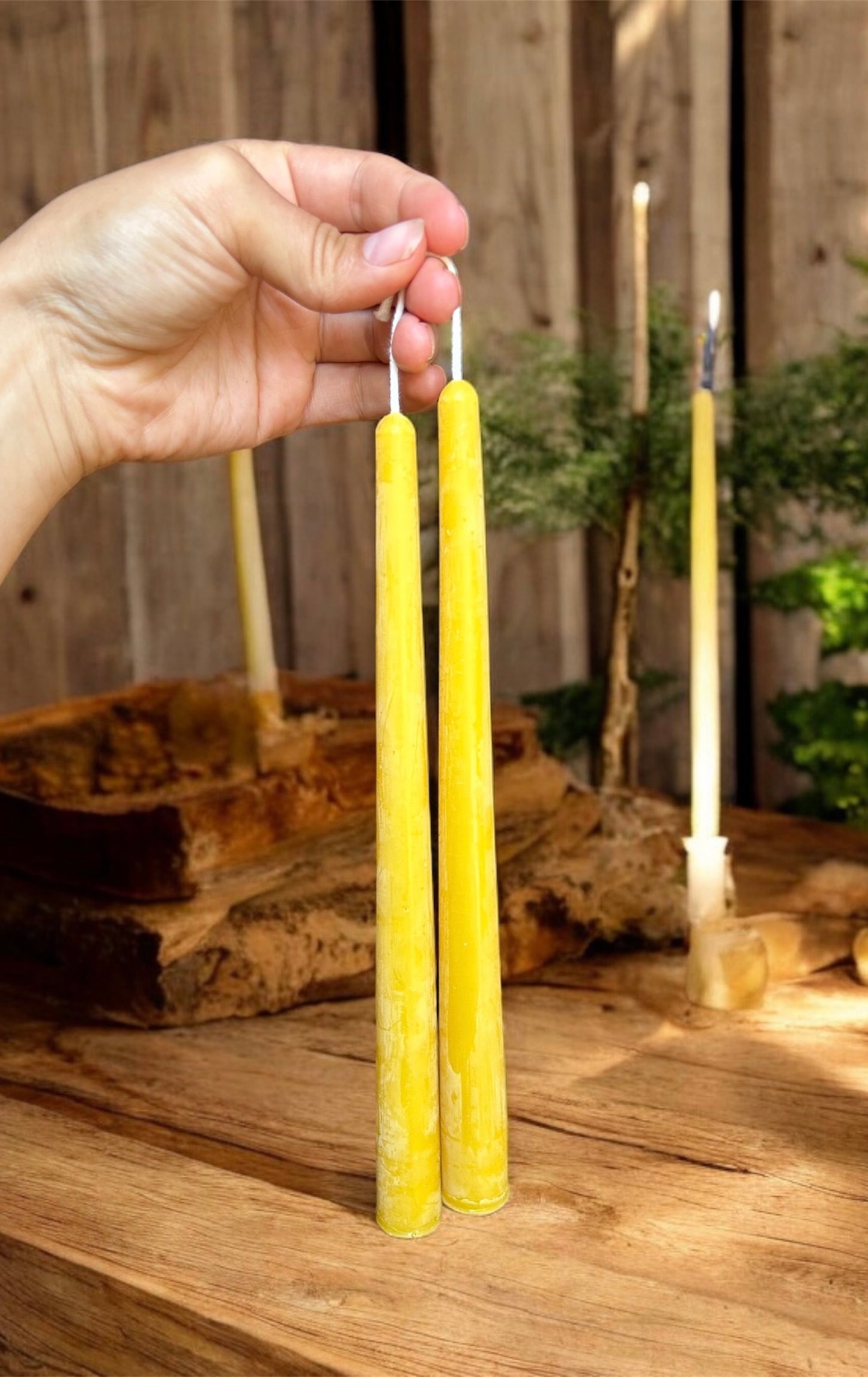 10 inch Taper Candle, Pure Beeswax